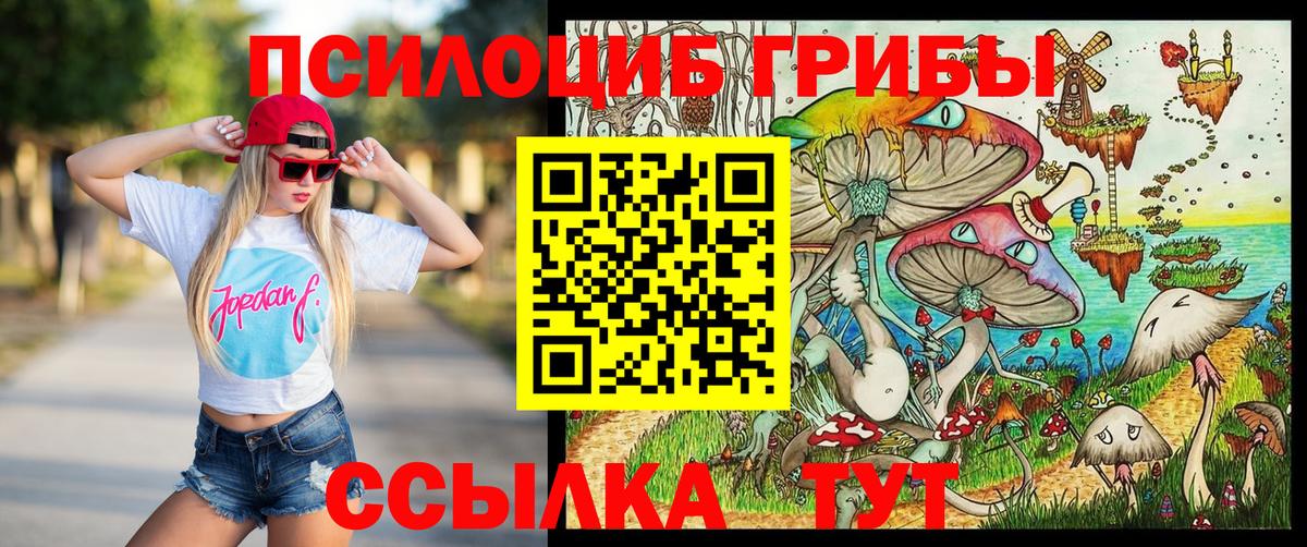Галлюциногенные грибы Cubensis Сибай